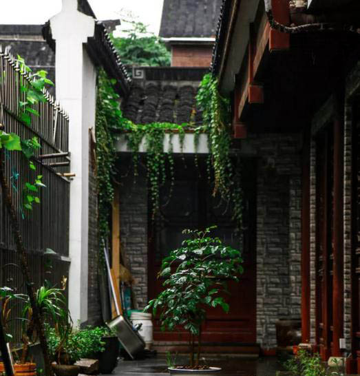梅雨季節,養花怎么做?
