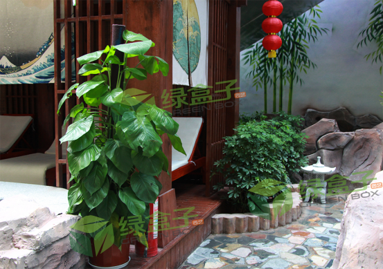 14781534918003.png 6.png