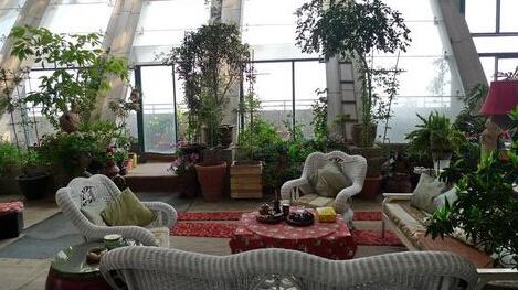 掌握這些知識，養好水培植物就這么簡單