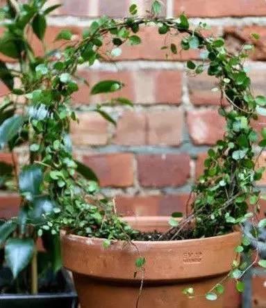 14926705921340.jpg 圖片6.jpg