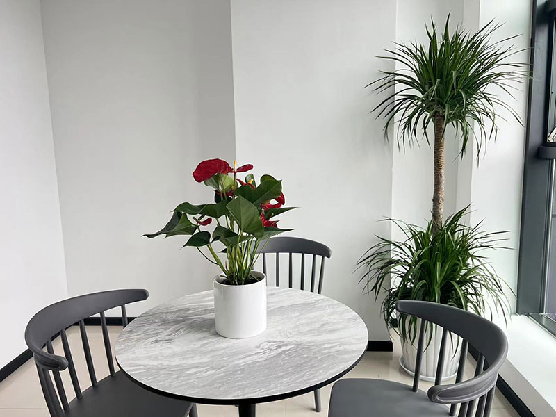 冬天室內(nèi)養(yǎng)什么植物好？